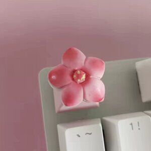 Cute Pink Sakura Macaroon PBT Keycap for OEM Mechanical Keyboard “+” Switches